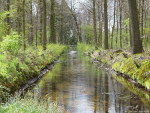 Diepenheimse Molenbeek